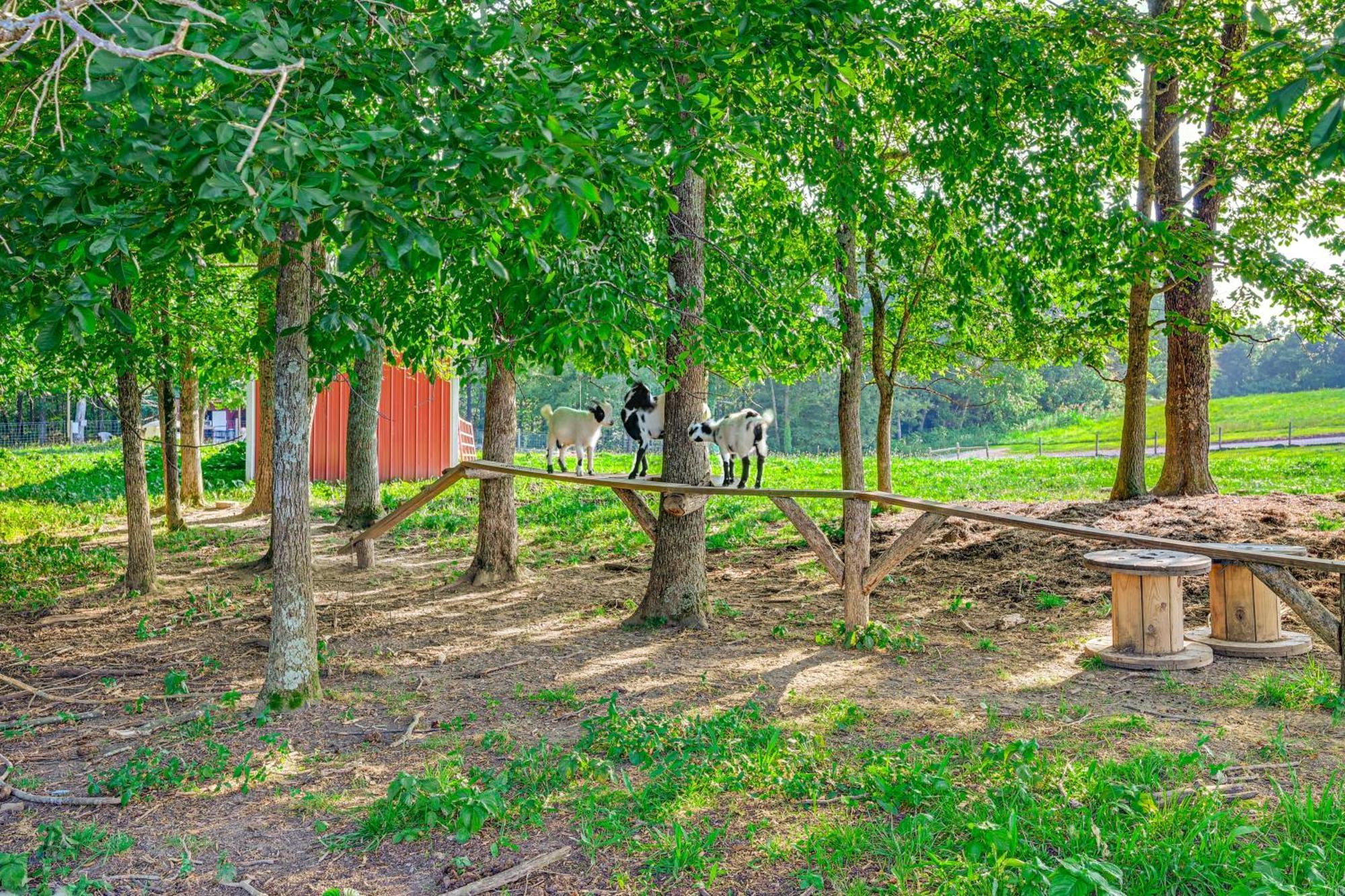 Almost Heaven Farmers Paradise On 50 Acres! Villa Brownsville Dış mekan fotoğraf